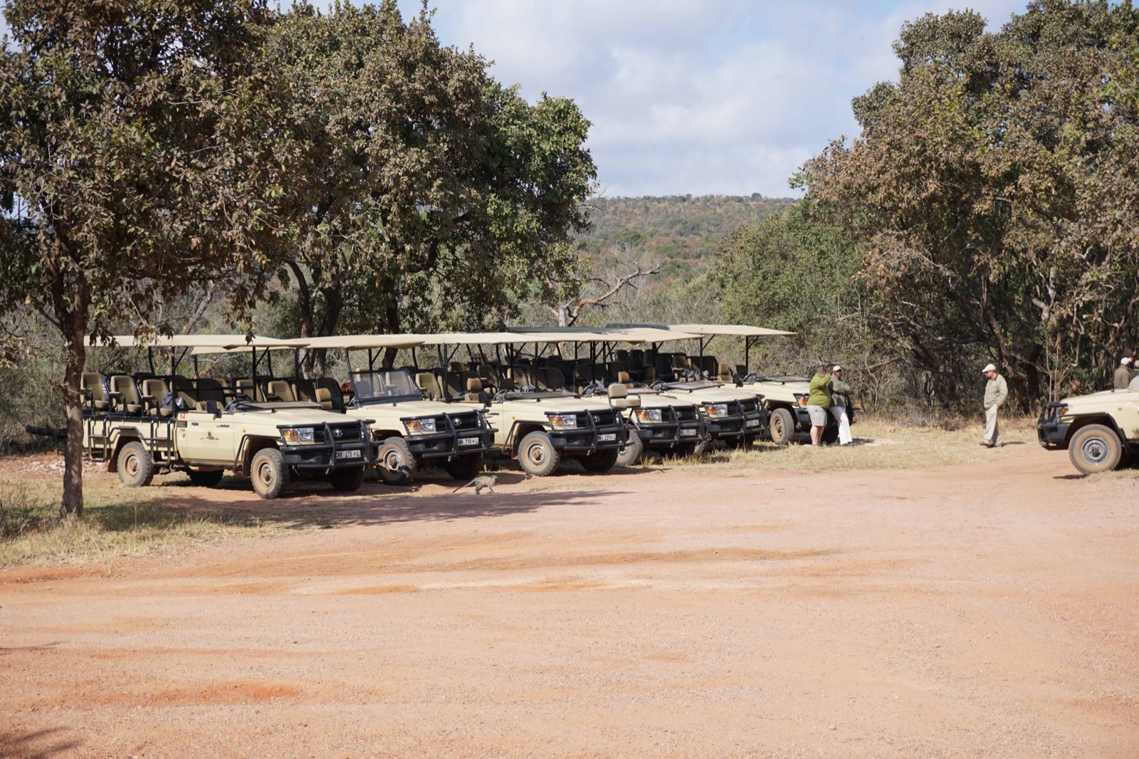 land cruisers